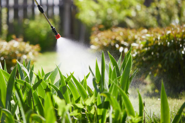 24/7 Emergency Ant Control experts in South Rosemary, NC