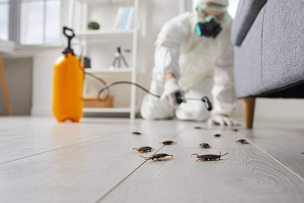 Trusted Fumigation Services service in South Rosemary, NC - Nex Pest Control