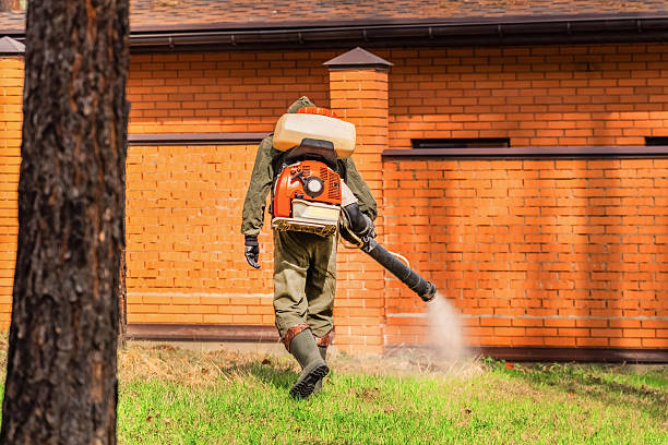 Trusted Emergency Pest Control service in South Rosemary, NC - Nex Pest Control